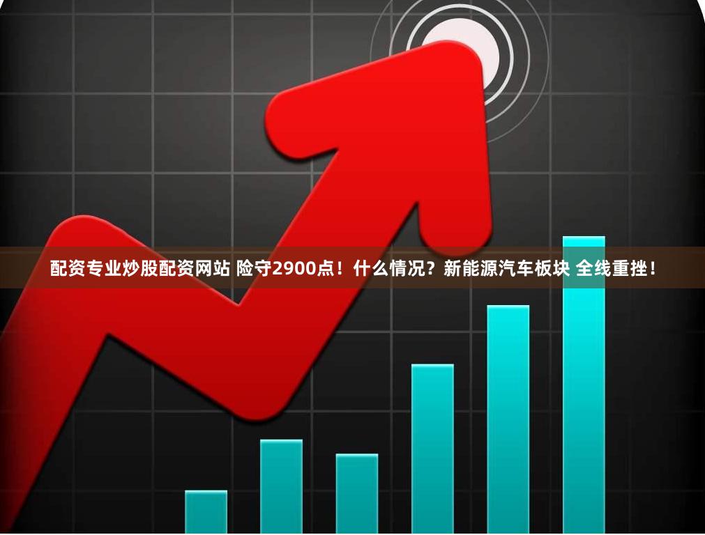 配资专业炒股配资网站 险守2900点！什么情况？新能源汽车板块 全线重挫！