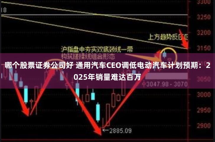 哪个股票证券公司好 通用汽车CEO调低电动汽车计划预期：2025年销量难达百万