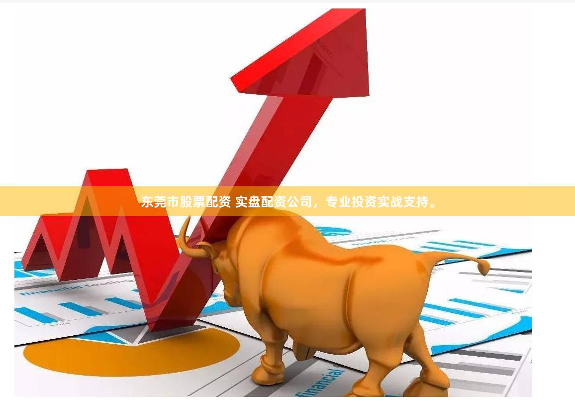 东莞市股票配资 实盘配资公司，专业投资实战支持。
